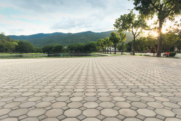 Best Permeable Paver Driveway  in Montgomery, GA
